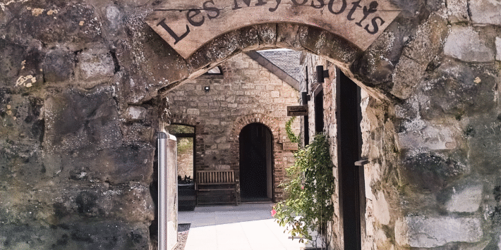 Journée de ressourcement au Myosotis