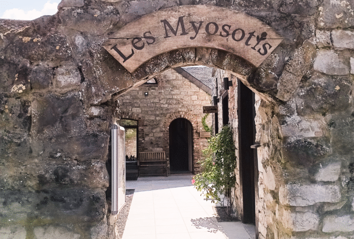 Journée de ressourcement au Myosotis à Assesse